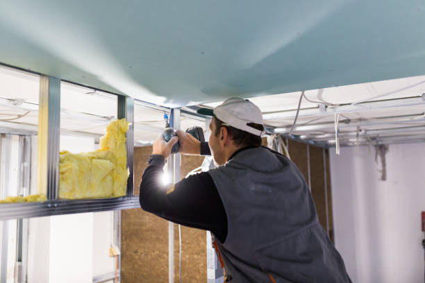 Best Energy Efficiency Insulation in Lake Ssota, WI