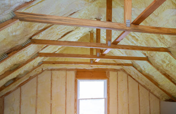 Best Spray Foam Insulation in Lake Ssota, WI