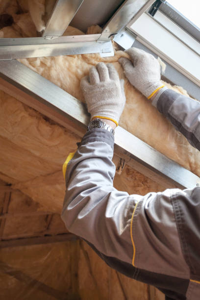 Best Blown-in Insulation in Lake Ssota, WI